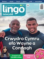 Lingo Newydd